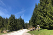 Na ovoj planini je ar nekada koštao 500 evra, a sada je cena basnoslovna!
