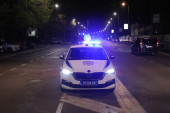 Užas na Ledinama: Turski državljanin silovao baku (70)!