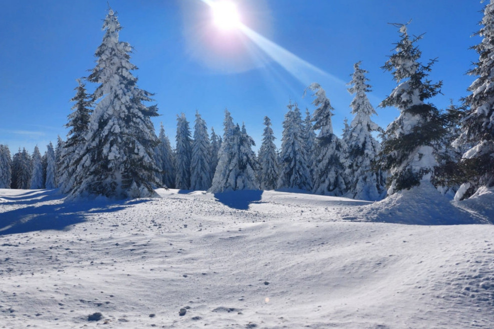 Povoljno i prelepo: Vikendica za porodicu 30 evra, kafa 100 dinara…